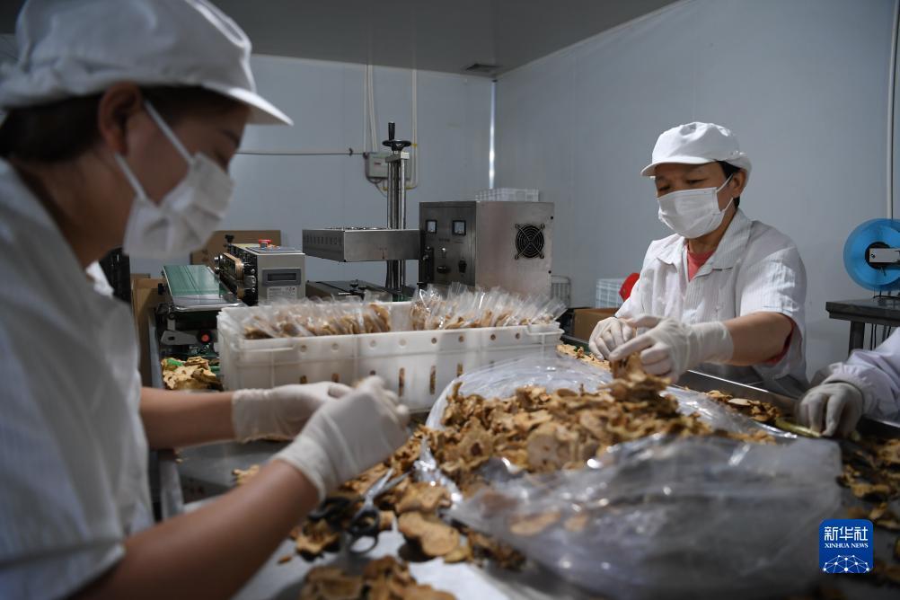 世爵用户平台登陆